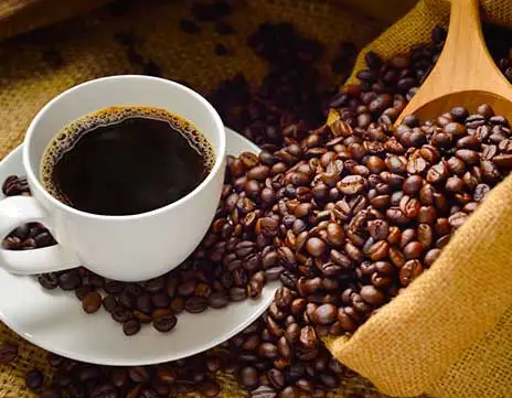 10 Gründe, warum Sie Bio-Kaffee trinken sollten