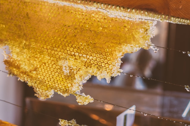 Bienengiftserum: Warum dieses Produkt Feuer fing